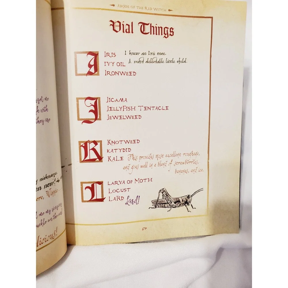 Disney Hocus Pocus Spell Book Sanderson Sisters Guide Spells Potions Hardcover